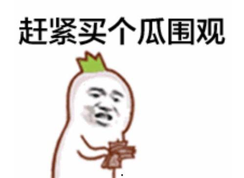 热门大瓜每日大赛 吃瓜表情包,吃瓜表情包狂欢盛宴